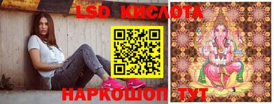 тгк Славгород