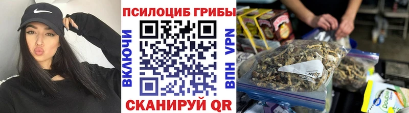 Галлюциногенные грибы Psilocybine cubensis  Усинск 