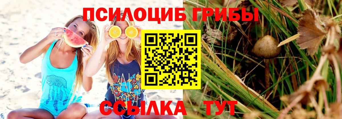 Псилоцибиновые грибы GOLDEN TEACHER Усинск